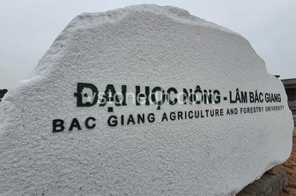 Biển Hiệu Đá Tự Nhiên Trường Đại Học Nông Lâm Bắc Giang